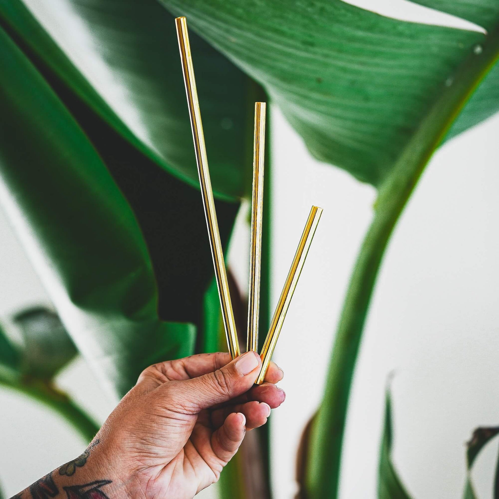 Hand holding multiple gold metal straws against background of green houseplant leaves